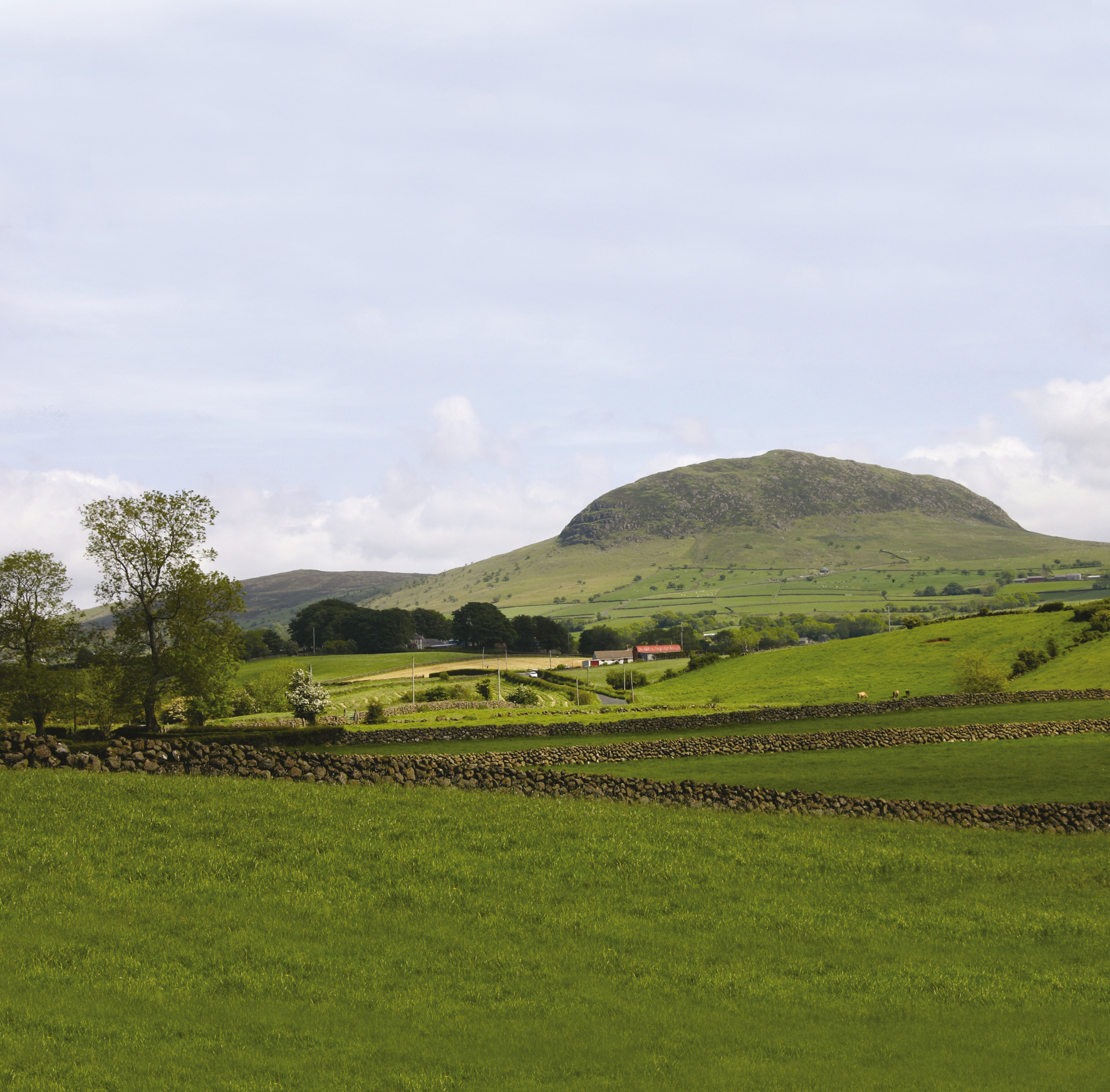 Slemish Mountain 3