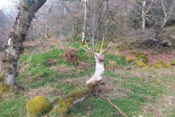 Photo 2026 04 07 11 55 15