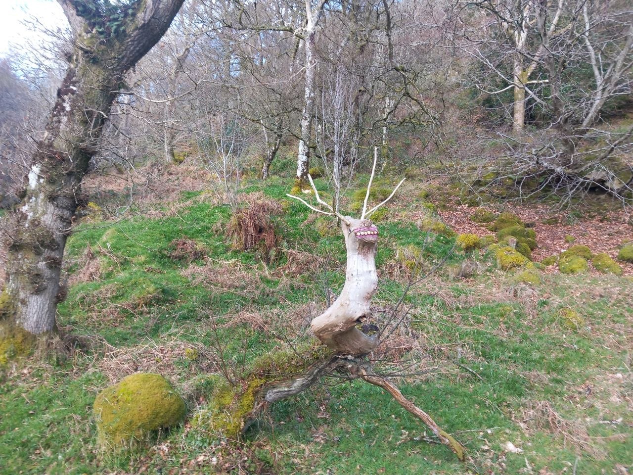 Photo 2026 04 07 11 55 15