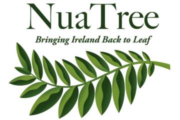 Nua Tree Logo