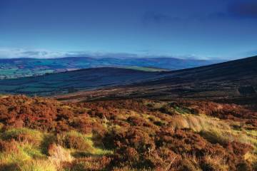 17795 The Sperrins