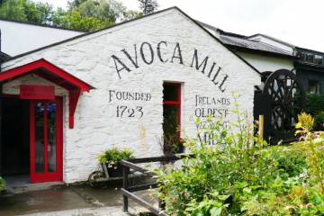 Avoca 1
